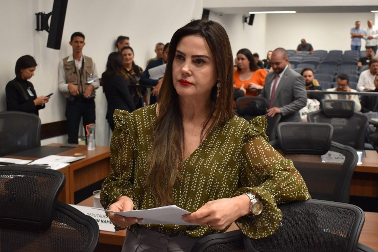 Imagem: Proposta é de autoria da deputada Mara Caseiro 