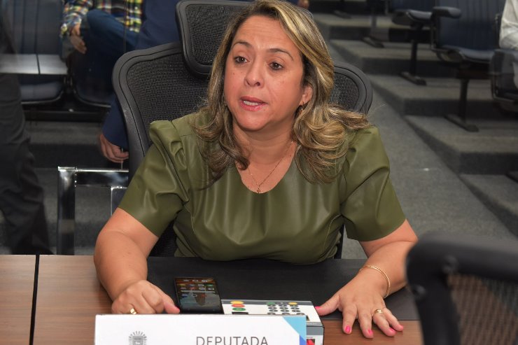 Imagem: Deputada Lia Nogueira é a autora da proposta