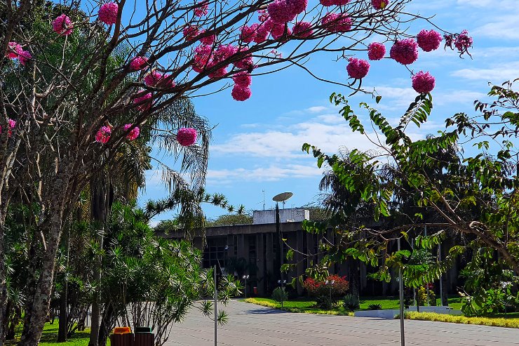 Imagem: A próxima semana será marcada pela realização de eventos diversos na Assembleia Legislativa 