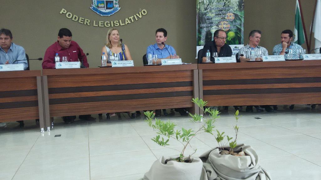 Imagem: Audiência pública para discutir preservação e produção da guavira lotou o plenário da Câmara Municipal de Bonito