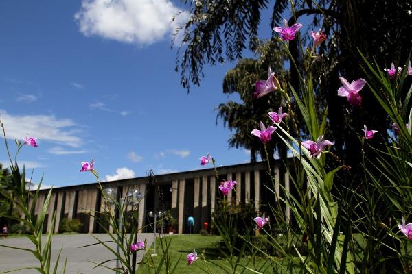 Imagem: Programação começa segunda-feira, às 8h30, com Santa Missa Pelas Mães, no Palácio Guaicurus