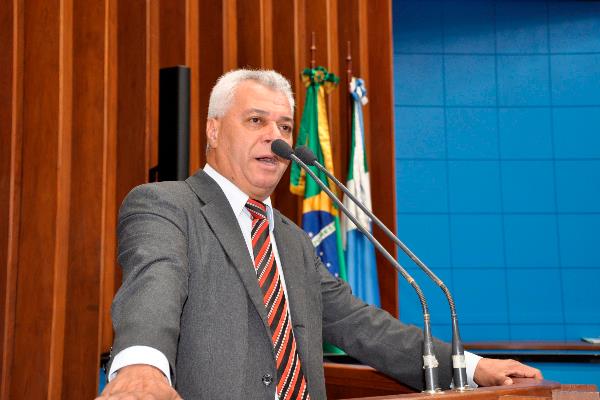 Imagem: Parlamentar pediu esforços para combater crimes em MS