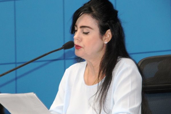 Imagem: Mara quer recuperação de estrada que liga Naviraí ao distrito de Porto Caiuá