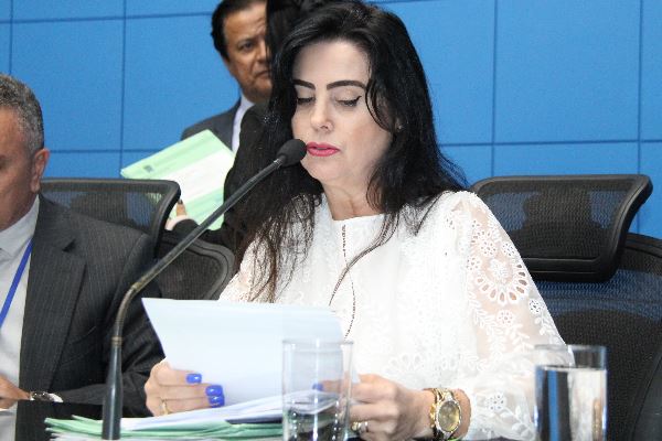 Imagem: Deputada destaca atuação de Policiais Militares em manifestação na Casa de Leis