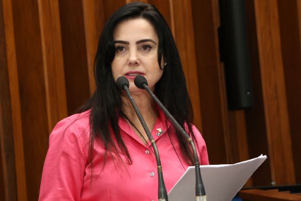 Imagem: Proposição é de autoria da deputada Mara Caseiro