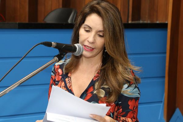 Imagem: A ideia é que o Estado realize um conjunto de ações que propicie a economia da água