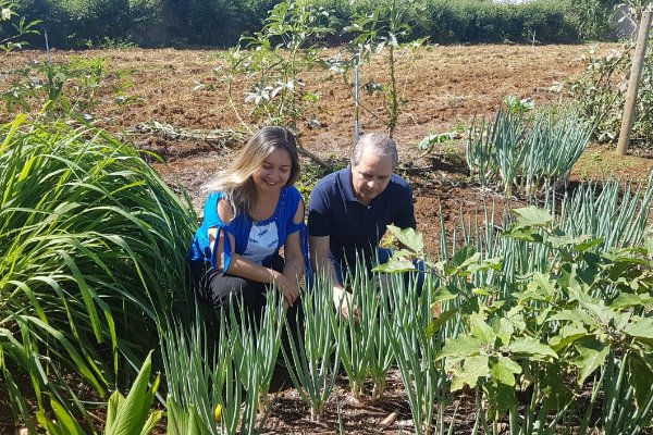 Imagem: Projeto é referência e parlamentar pretende estender a outras escolas do Estado