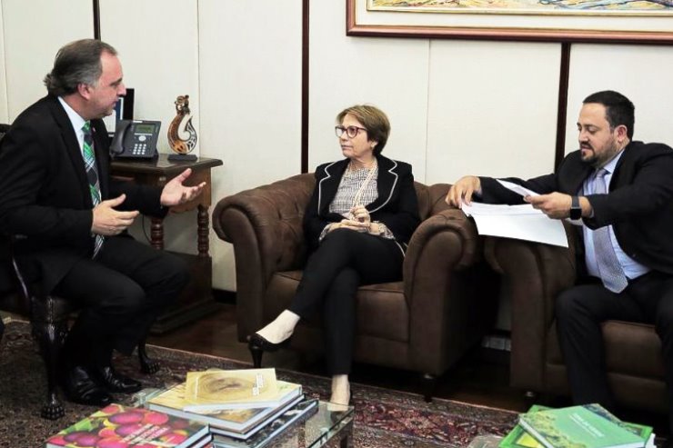 Imagem: Kennedy Nunes e Marcio Fernandes se reuniram com a ministra Agricultura, Tereza Cristina, em Brasília