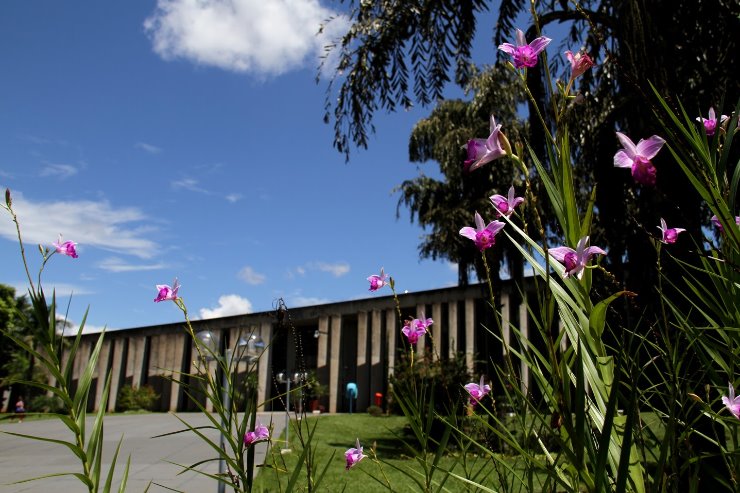 Imagem: Assembleia Legislativa, que terá semana movimentada por audiências públicas, reuniões e sessão solene