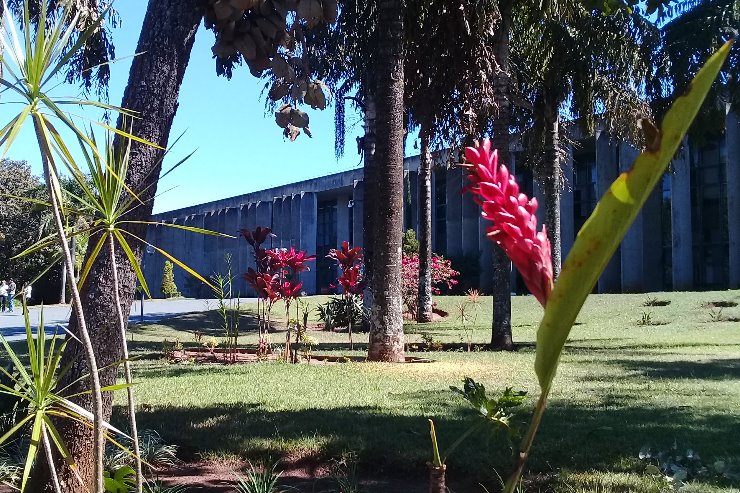 Imagem: Evento será no Plenário Júlio Maia