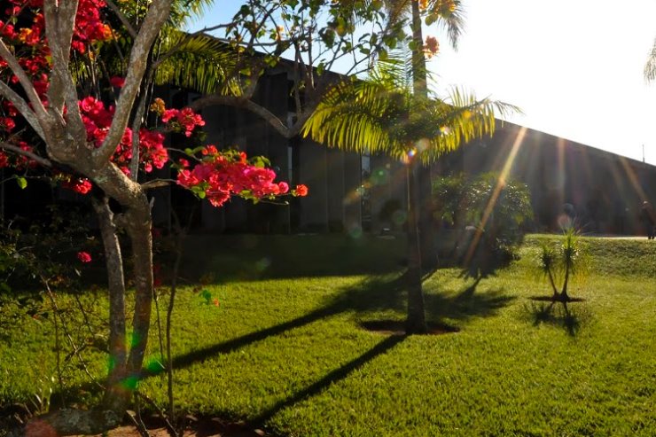 Imagem: Reuniões de Frentes Parlamentares, sessões solenes, e outros eventos integram a semana na Alems