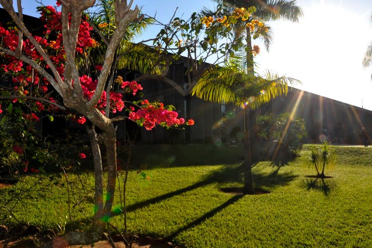 Imagem: O documento tem o objetivo de reforçar o compromisso da Casa de Leis com a conservação do meio ambiente