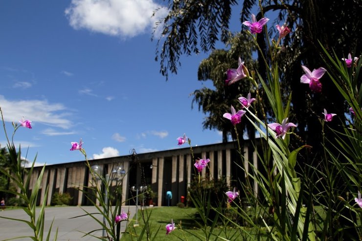 Imagem: Homenagens, exposições culturais e artísticas e até velórios marcam história do Palácio Guaicurus, sede do Poder Legislativo