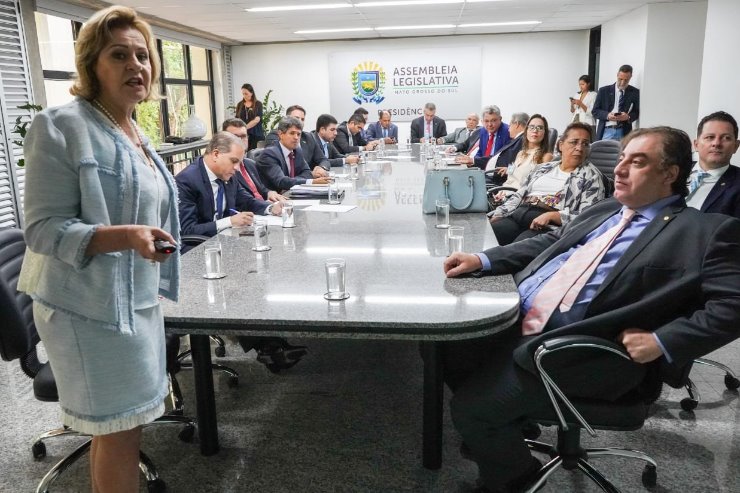 Imagem: A secretária Maria Cecília Amêndola apresentou dados para justificar o reordenamento de escolas estaduais 