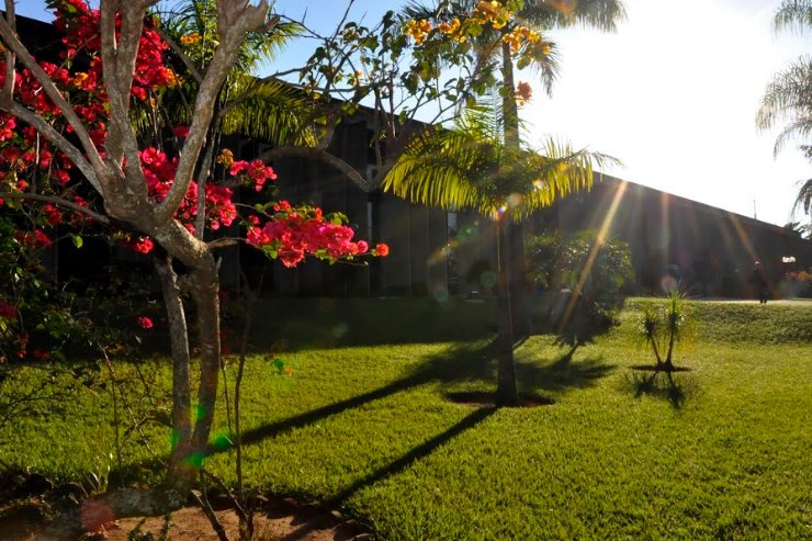Imagem: Casa de Leis voltará ao expediente normal de atendimento ao público no dia 3 de fevereiro, segunda-feira