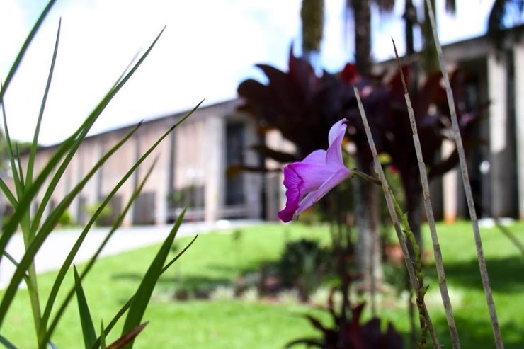 Imagem: Deputados fazem homenagem a mulheres de Mato Grosso do Sul