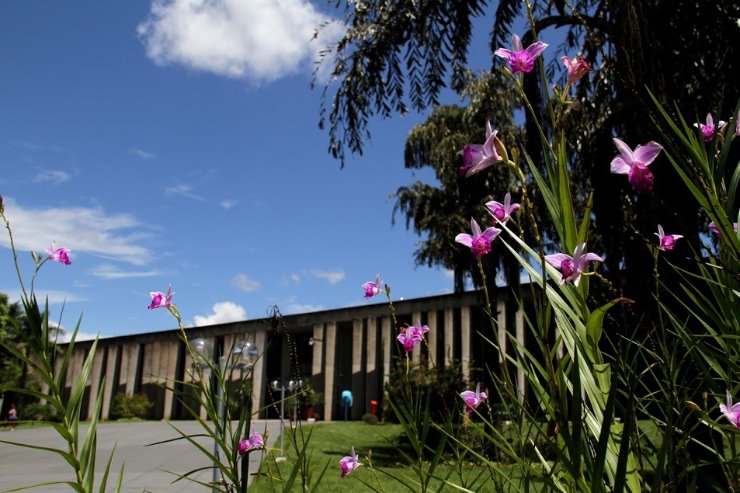 Imagem: Com restrições devido ao coronavírus, TV ALEMS se consolida como um dos canais que garante acesso do público às informações legislativas