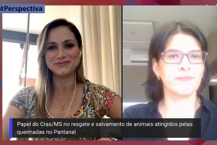 Imagem: Aline Bitencourt de Oliveira Duarte, coordenadora do Centro de Reabilitação de Animais Silvestres, é a entrevistada desta edição