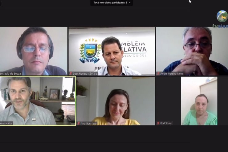 Imagem: Encaminhamento foi feito durante live da Frente Parlamentar de Enfrentamento à Tríplice Epidemia