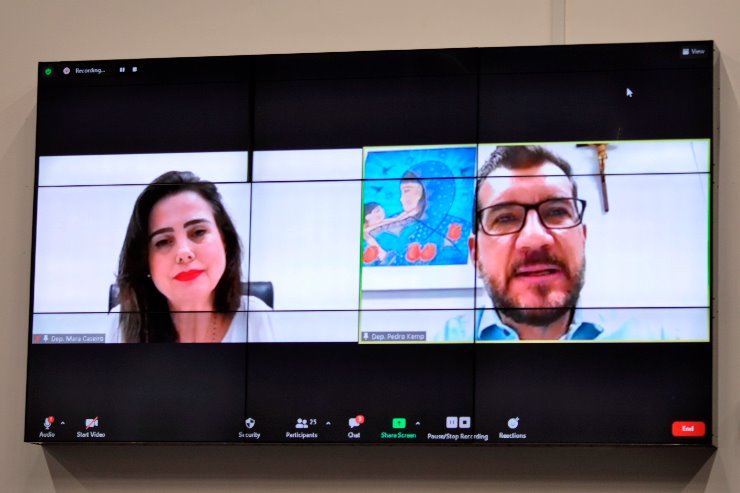 Imagem: Os deputados Mara Caseiro e Pedro Kemp apresentaram proposta para adequação do projeto que beneficia os artistas