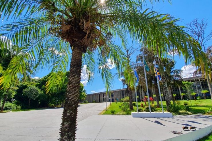 Imagem: Sessões ordinárias na Assembleia Legislativa de Mato Grosso do Sul são realizadas às terças, quartas e quintas-feiras 