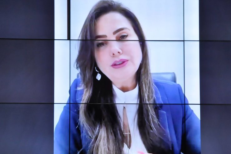 Imagem: Assunto foi puxado na tribuna pela líder do Governo na Casa de Leis, deputada Mara Caseiro