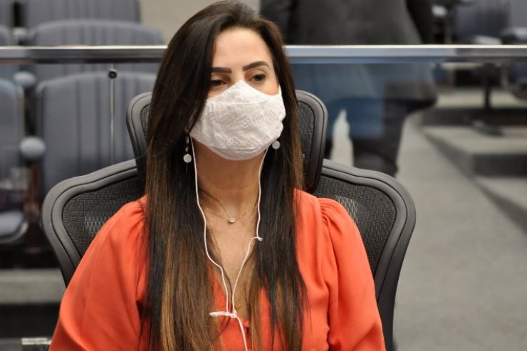 Imagem: Nova lei é de autoria da deputada Mara Caseiro