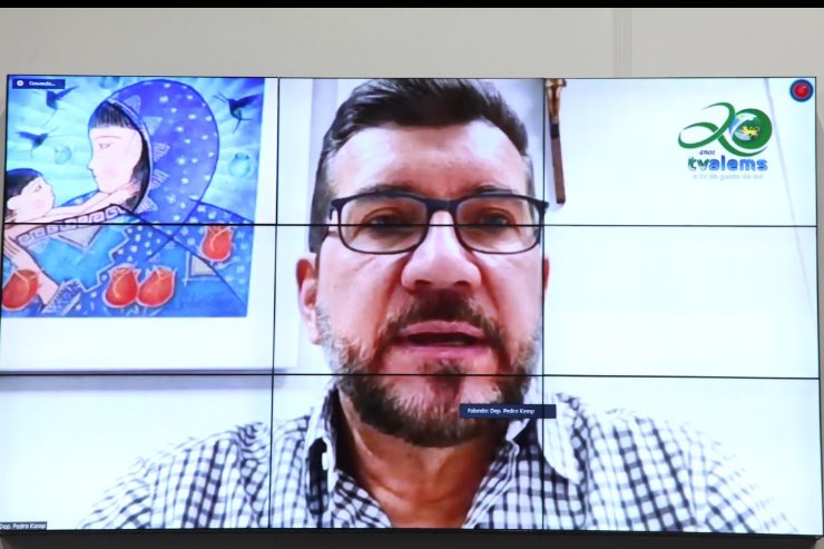 Imagem: Deputado Pedro Kemp ainda elogiou força tarefa feita pela Defensoria Pública do Estado às aldeias de MS