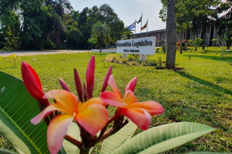 Imagem: Lei, apoio a ações de prevenção e conteúdo de orientação marcam Outubro Rosa na ALEMS 