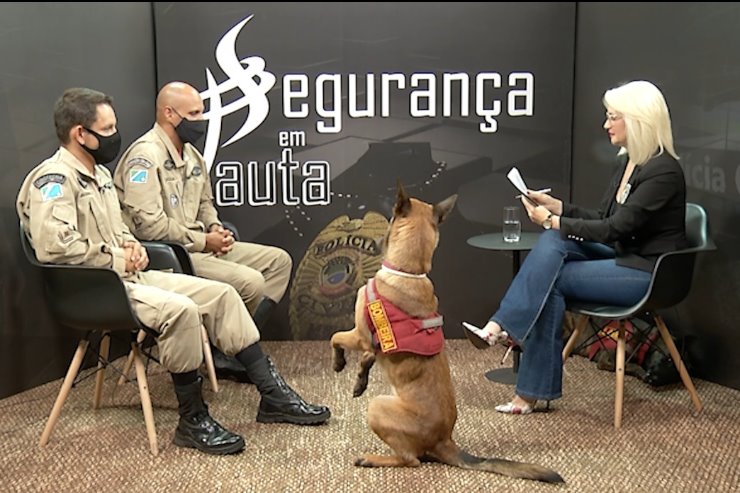 Imagem: Programa é transmitido pelo Youtube oficial da Casa de Leis ou Canal 9 da NET