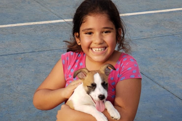 Imagem: A Campanha Dezembro Verde enfatiza a importância do cuidado e carinho com os animais domésticos