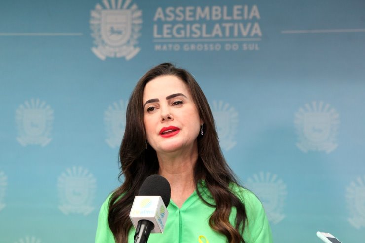 Imagem: Lei foi proposta pela deputada Mara Caseiro