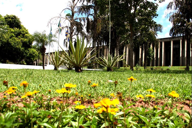 Imagem: Assembleia Legislativa realiza diversas ações que ajudam Mato Grosso do Sul a se reerguer da crise causada pela pandemia
