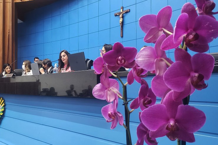 Imagem: Sessão solene foi proposta e presidida pela deputada Mara Caseiro, única representante mulher no Parlamento