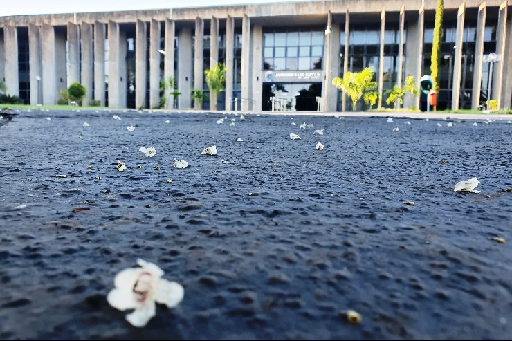 Imagem: Solenidade será realizada na sede do Poder Legislativo e poderá ser acompanhada em tempo real