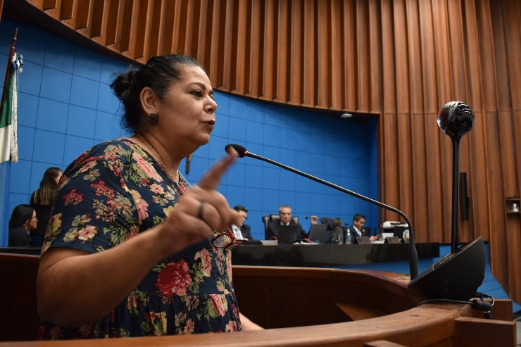 Imagem: “Apesar de deixarem legados culturais, os ciganos ainda sofrem discriminações e perseguições", disse a representante