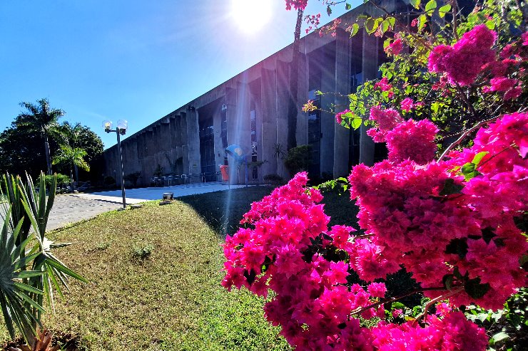 Imagem: Projeto de lei apresentado prioriza apresentações de músicos sul-mato-grossenses 