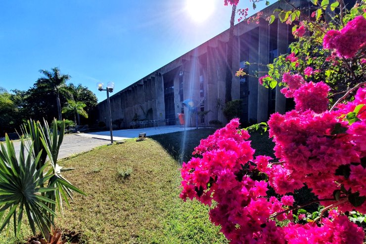 Imagem: Defesa oral em processos de trânsito pelos advogados de MS é o tema de uma das propostas