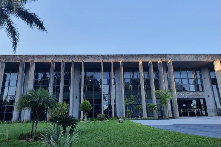 Imagem: MS pode ter programa de distribuição gratuita de ração para animais domésticos