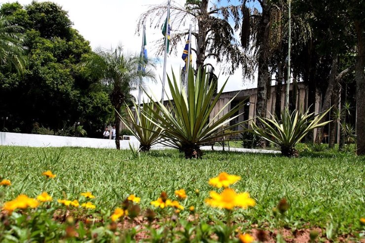 Imagem: Proposto dia de celebração estadual à grupo de missionárias fundado em 1951, no Rio de Janeiro