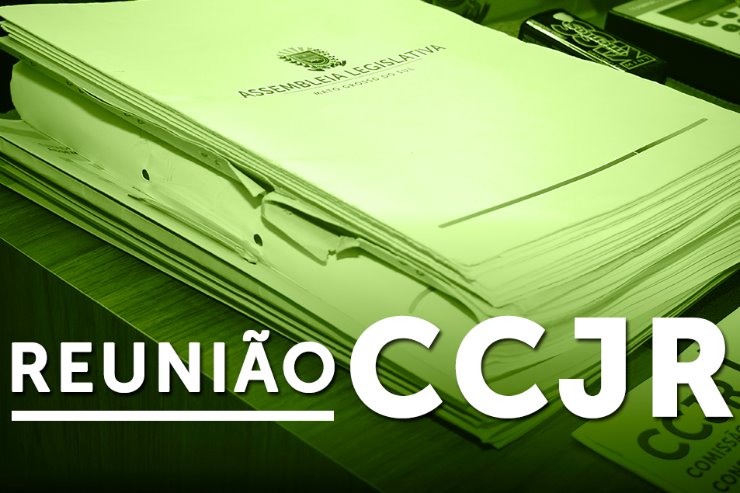 Imagem: Reunião é transmitida ao vivo pelos canais de comunicação oficiais da ALEMS