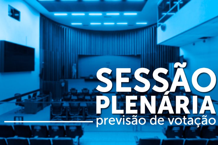 Imagem: Votação dos projetos é realizada durante a Ordem do Dia da sessão plenária, que tem início às 9h
