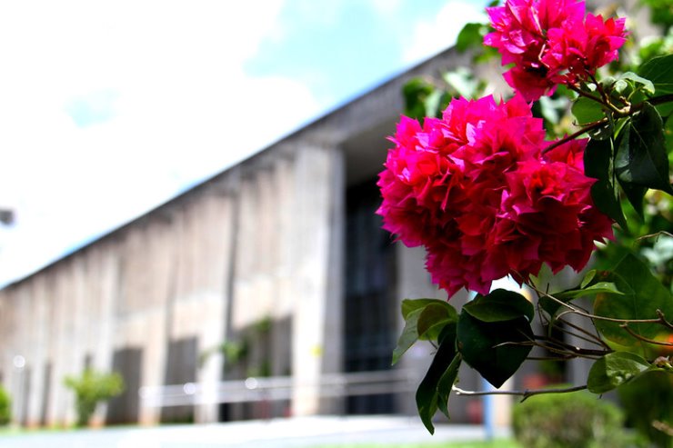 Imagem: Em construção, a jovem democracia brasileira se alicerça na Constituição, no voto e na autonomia dos Poderes constituídos