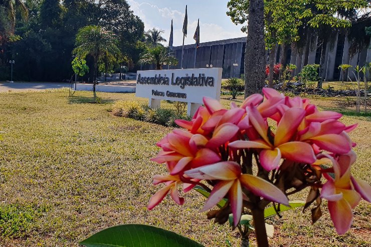 Imagem: Setembro Verde e Setembro Amarelo são campanhas em prol da vida, abraçadas pela Assembleia de Mato Grosso do Sul