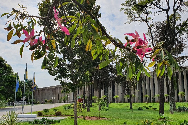 Imagem: A Assembleia Legislativa apoia o Outubro Rosa, mês dedicado a ações preventivas à integridade da saúde da mulher 
