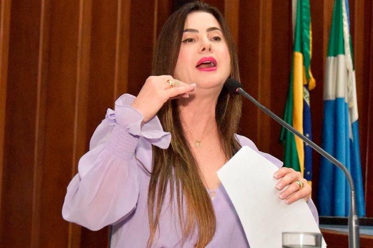 Imagem: "É importante sensibilizar a sociedade acerca do tema", destacou a deputada Mara Caseiro 