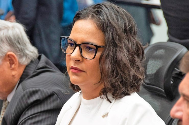 Imagem: A lei publicada nesta sexta-feira é de autoria da deputada estadual Gleice Jane