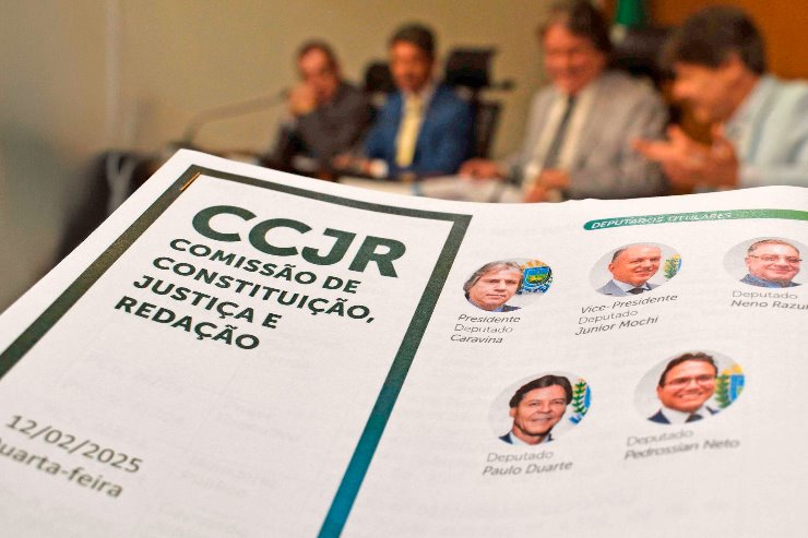 Imagem: Nova composição da CCJR para o atual biênio na Casa de Leis