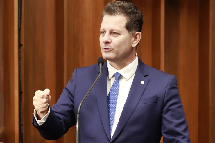 Imagem: Além da investigação sobre as mortes de tamanduás-bandeira, o deputado Renato Câmara também solicitou urgência na recuperação da MS-244, essencial para o escoamento agropecuário e a segurança viária.