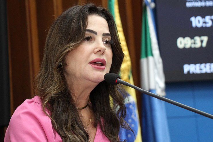 Imagem: Duas comissões permanentes estão trabalhando em conjunto para coletar sugestões para o novo Plano